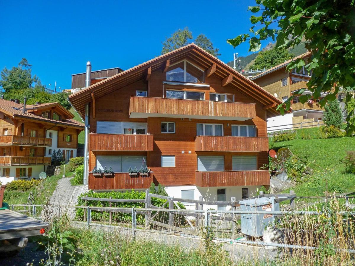 Apartment Goldenhorn Apt-F By Interhome Wengen Luaran gambar